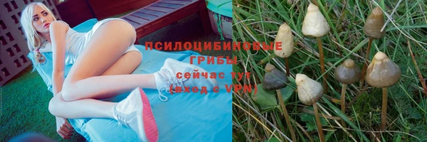 первитин Волосово